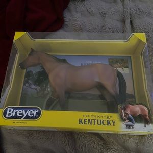 NIB kentucky
